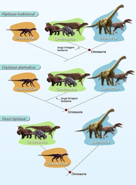 As hipóteses evolutivas a respeito dos dinossauros (Foto: Rodrigo Temp Müller)