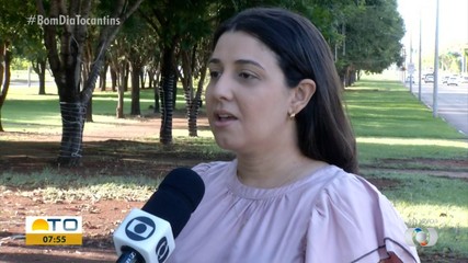 Saiba quais são as estratégias de combate ao mosquito causador da Zika e Chukungunya