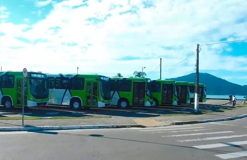 Transporte coletivo de Ubatuba — Foto: Verdebus/Divulgação