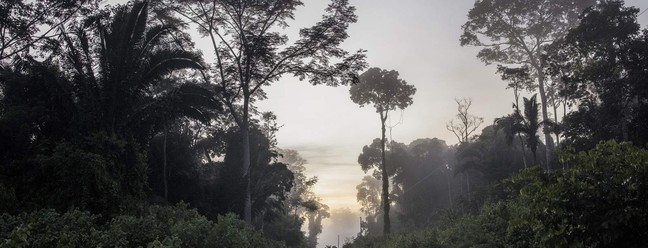 Uma estrada de terra corta a terra da famlia Peno, em Ji-Paran, Brasil, dois teros da qual fica dentro da rea protegida de Piripkura. — Foto: Victor Moriyama/The New York Times