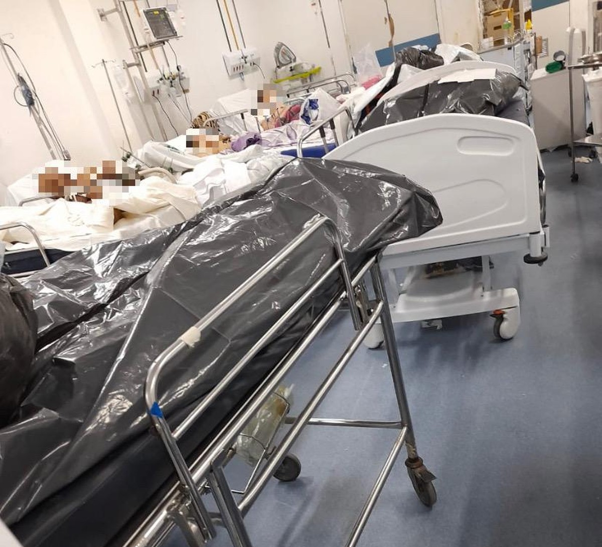 Ministério Público investiga presença de corpos em sacos plásticos ao lado de doentes em hospital no Recife - Vimarsana News