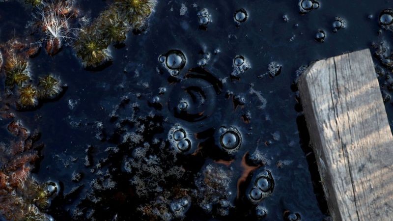 Bolhas de metano em um pântano na Suécia (Foto: Reuters via BBC News)