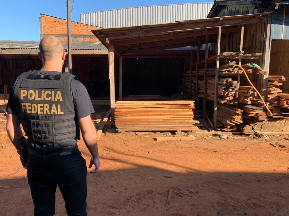 Mais de 20 mandados de busca e apreensão foram cumpridos pela PF na Operação Wood Land em RO — Foto: Polícia Federal/Divulgação