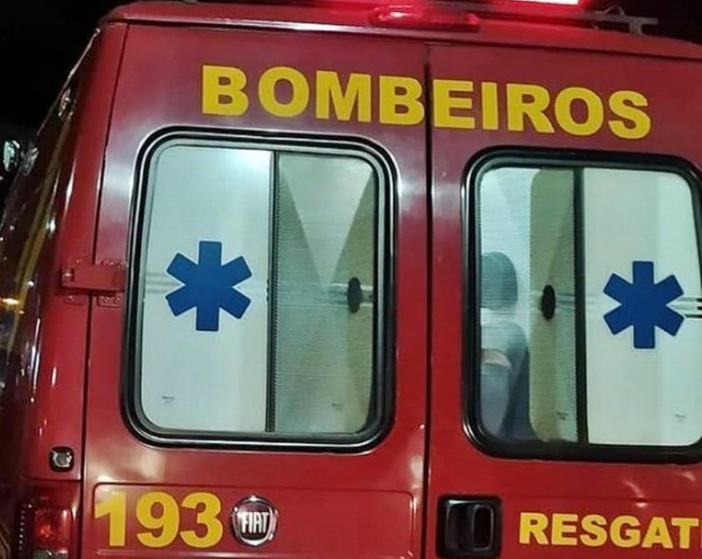 Corpo de Bombeiros chegaram a socorrer criança, e equipe tentou reanimação por 30 minutos, mas ela não resistiu — Foto: Corpo de Bombeiros