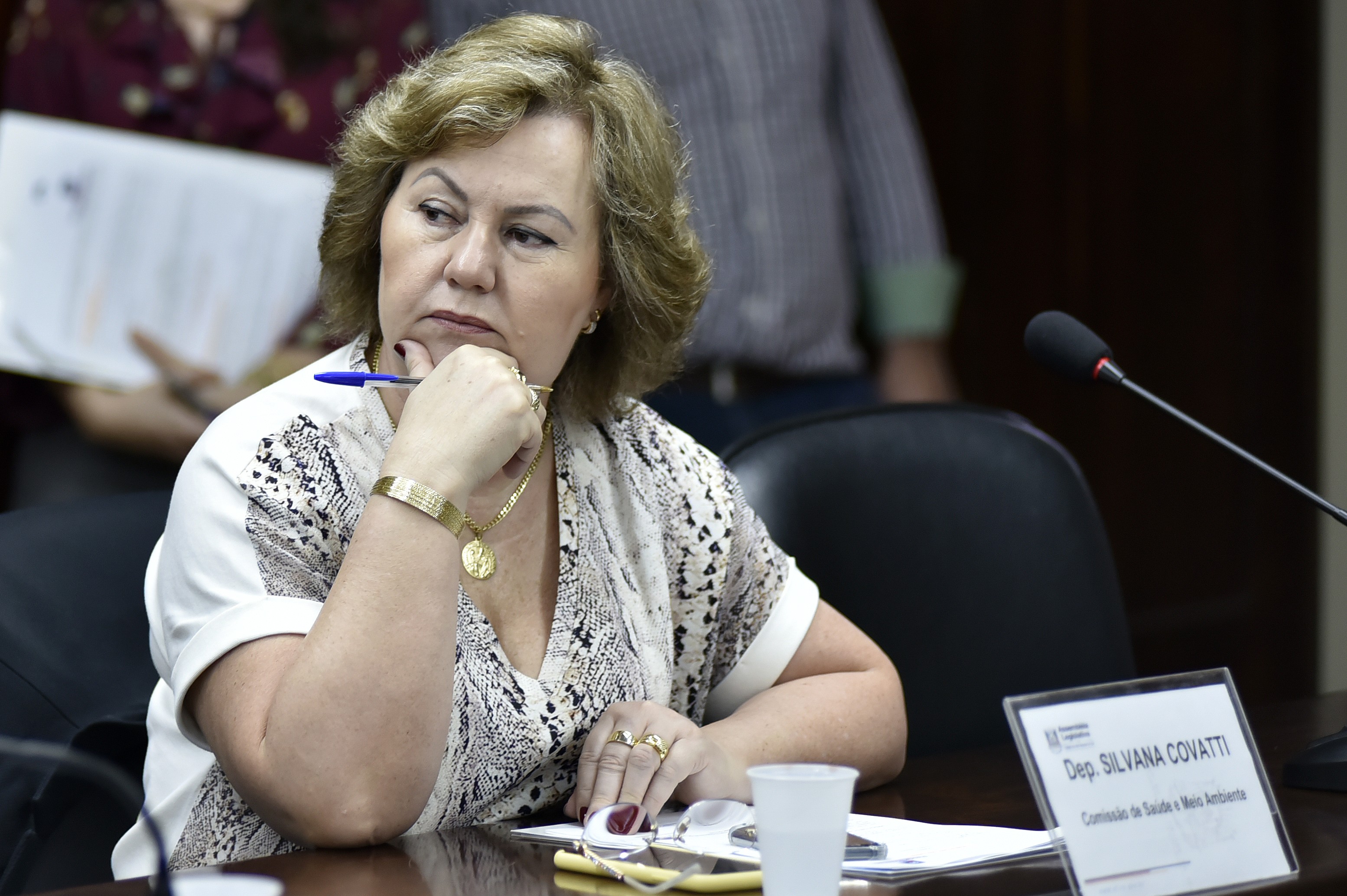 Silvana Covatti, nova secretária de agricultura do RS (Foto: Assembleia Legislativa do RS/Divulgação)