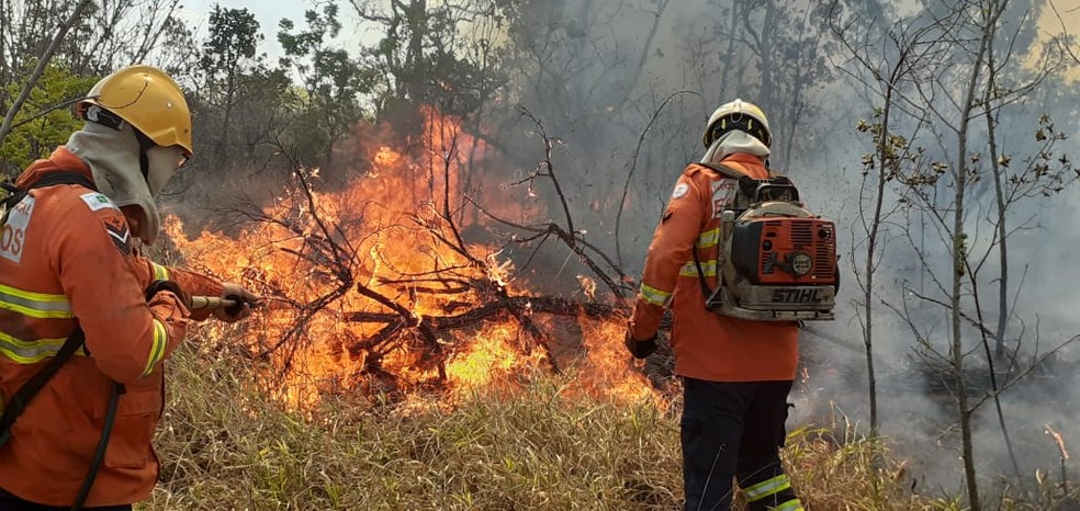 Bombeiros combatem incêndio no Distrito Federal, em imagem de arquivo — Foto: Corpo de Bombeiros do DF/Divulgação