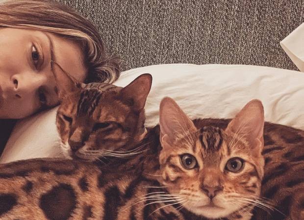 Grazi Massafera com seus gatos, Sol e Kiara (Foto: Instagram/@massafera/Reprodução)