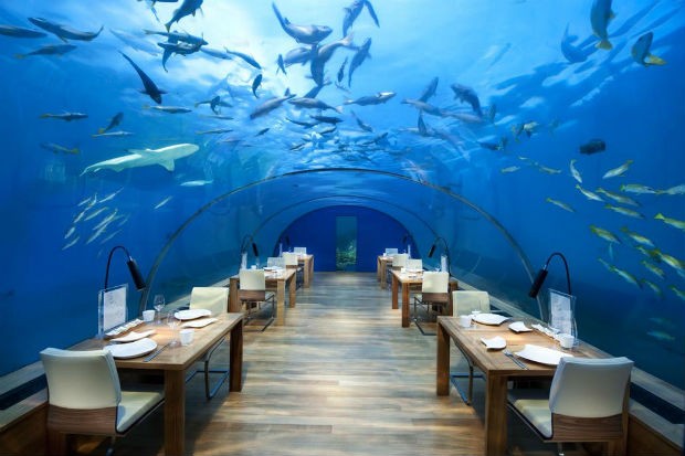 Ilhas Maldivas terão hotel subaquático ainda este ano (Foto: Divulgação/The Conrad Maldives Rangali Island)