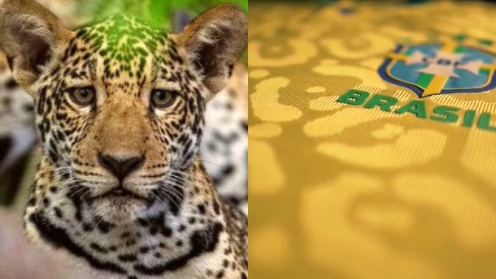 Onça-pintada foi inspiração para uniforme da seleção brasileira para a Copa do Mundo 2022. — Foto: Reprodução/ThiagoLimaETVGlobo