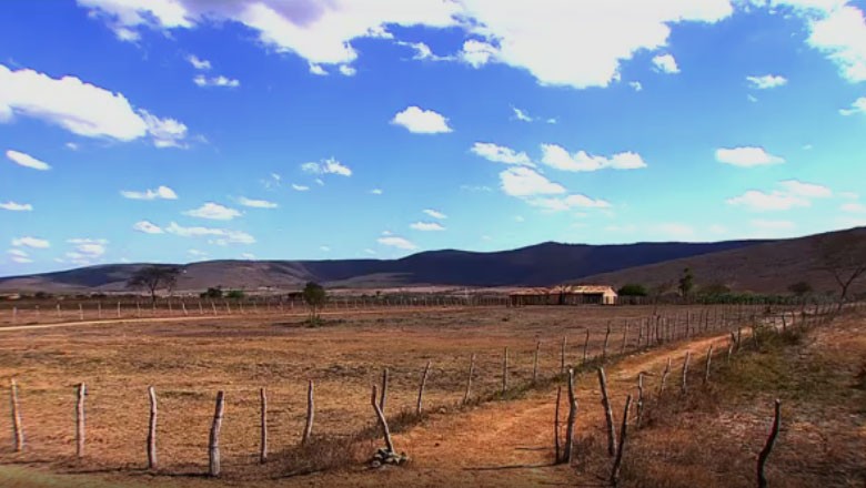 tv-estiagem-sergipe-clima-nordeste-seca-tempo-campo-rural (Foto: Reprodução)