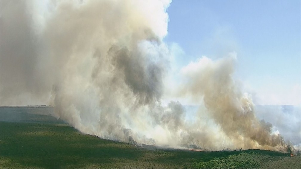 Incêndio no Parque Nacional de Brasília, nesta segunda-feira (5) — Foto: TV Globo/Reprodução