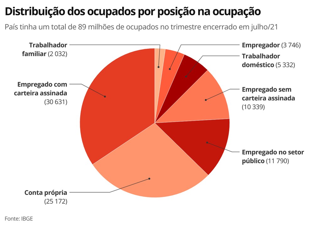 Distribuição dos ocupados por posição na ocupação — Foto: Economia g1