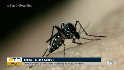 Dermatologista orienta sobre o uso de repelentes caseiros no corpo e em casa