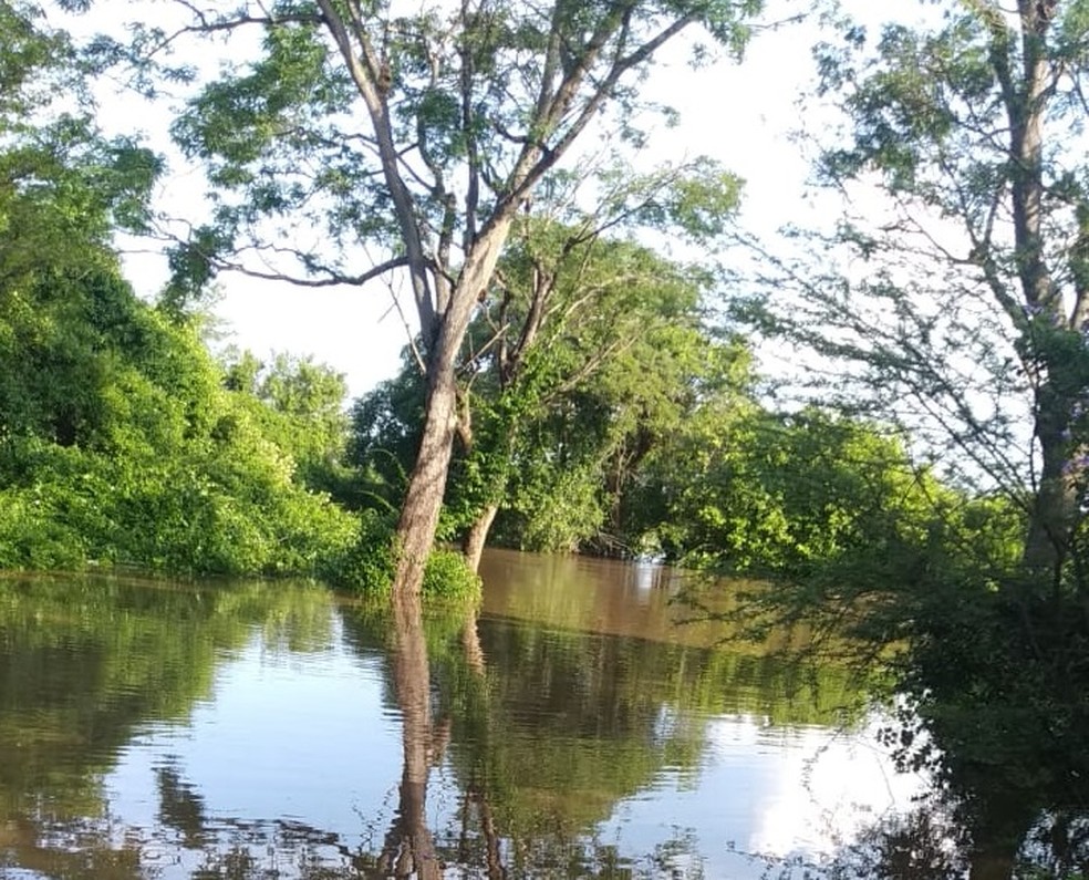 Corpo de agricultor é encontrado em cerca após afogamento em rio, no Sertão da Paraíba — Foto: Corpo de Bombeiros/Divulgação