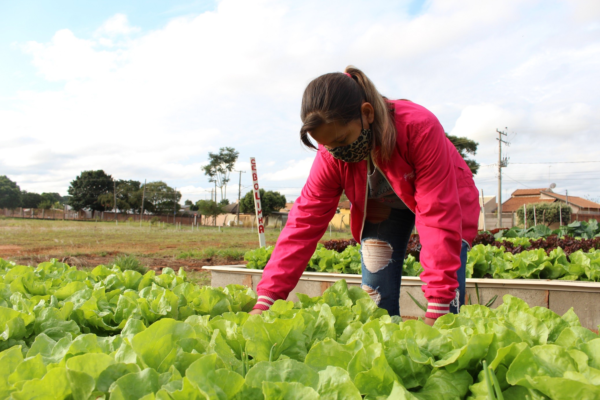 Na foto, a aluna Maira Vitória da Costa trabalha no cultivo de hortaliças (Foto: Divulgação/Amigo Sigo)