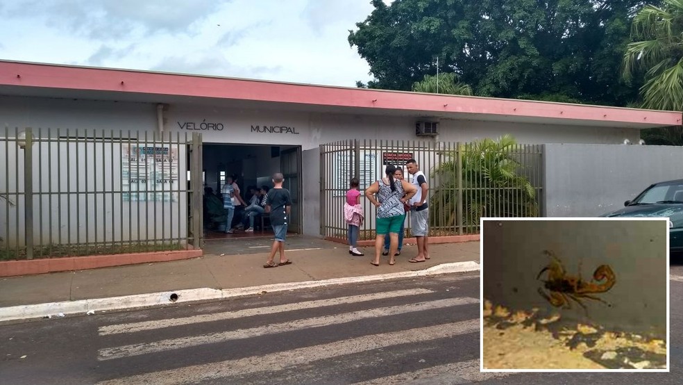 Moradores que foram ao velório do garoto de 6 anos levaram fotos de escorpiões (no detalhe) e reclamaram da infestação no bairro onde aconteceu o acidente  (Foto: César Evaristo/TV TEM)