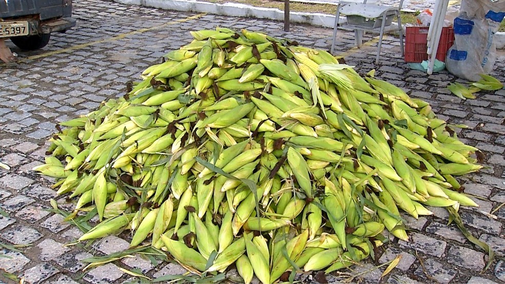 Feira do Milho segue até 1º de julho — Foto: Reprodução/Inter TV Cabugi