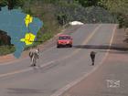 Animais soltos aumentam risco em rodovias que cortam o Maranhão