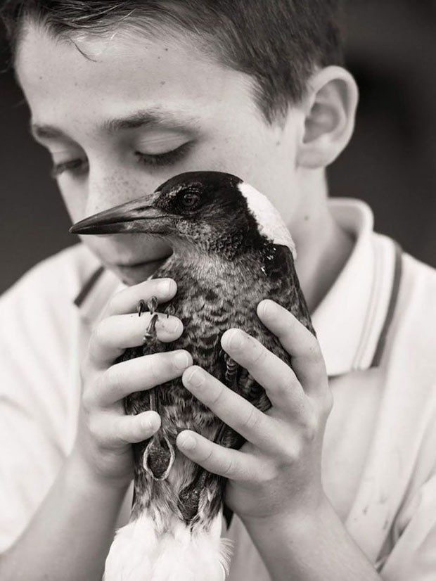 Penguim, o corvo (Foto: Instagram / Reprodução)
