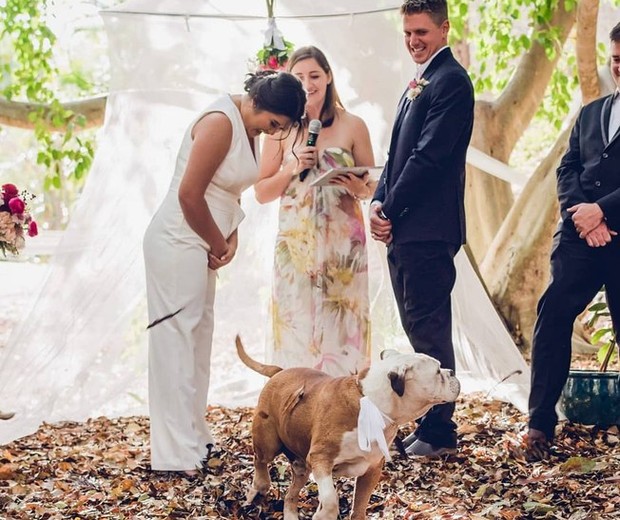 Cachorro faz xixi no vestido de noiva na hora do casamento (Foto: Reprodução )