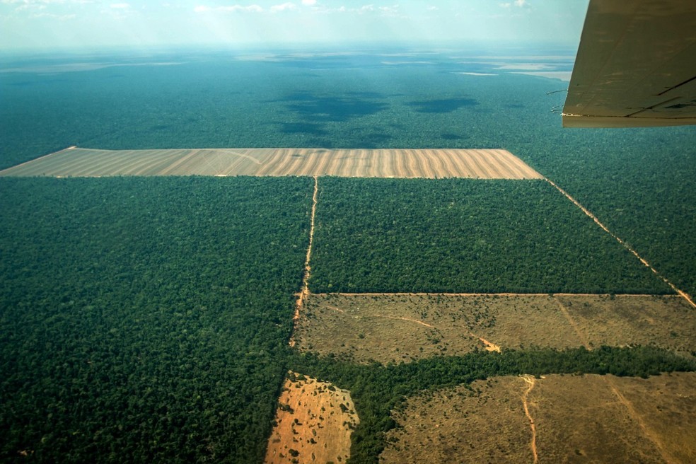 rea de desmatamento ilegal em MT  Foto: Sema/MT