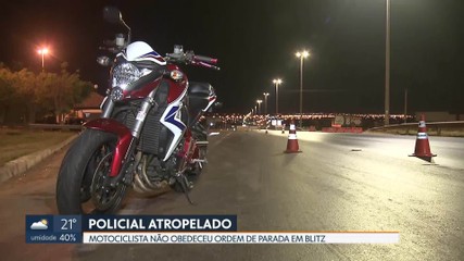 DF1  Cavalo é pintado com tinta durante atividade na Hípica de