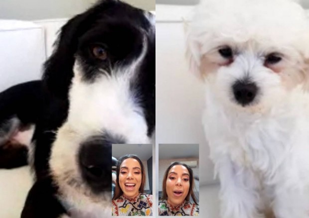 No México, Anitta mata saudade dos cachorros com chamadas de vídeo (Foto: Reprodução/Instagram)