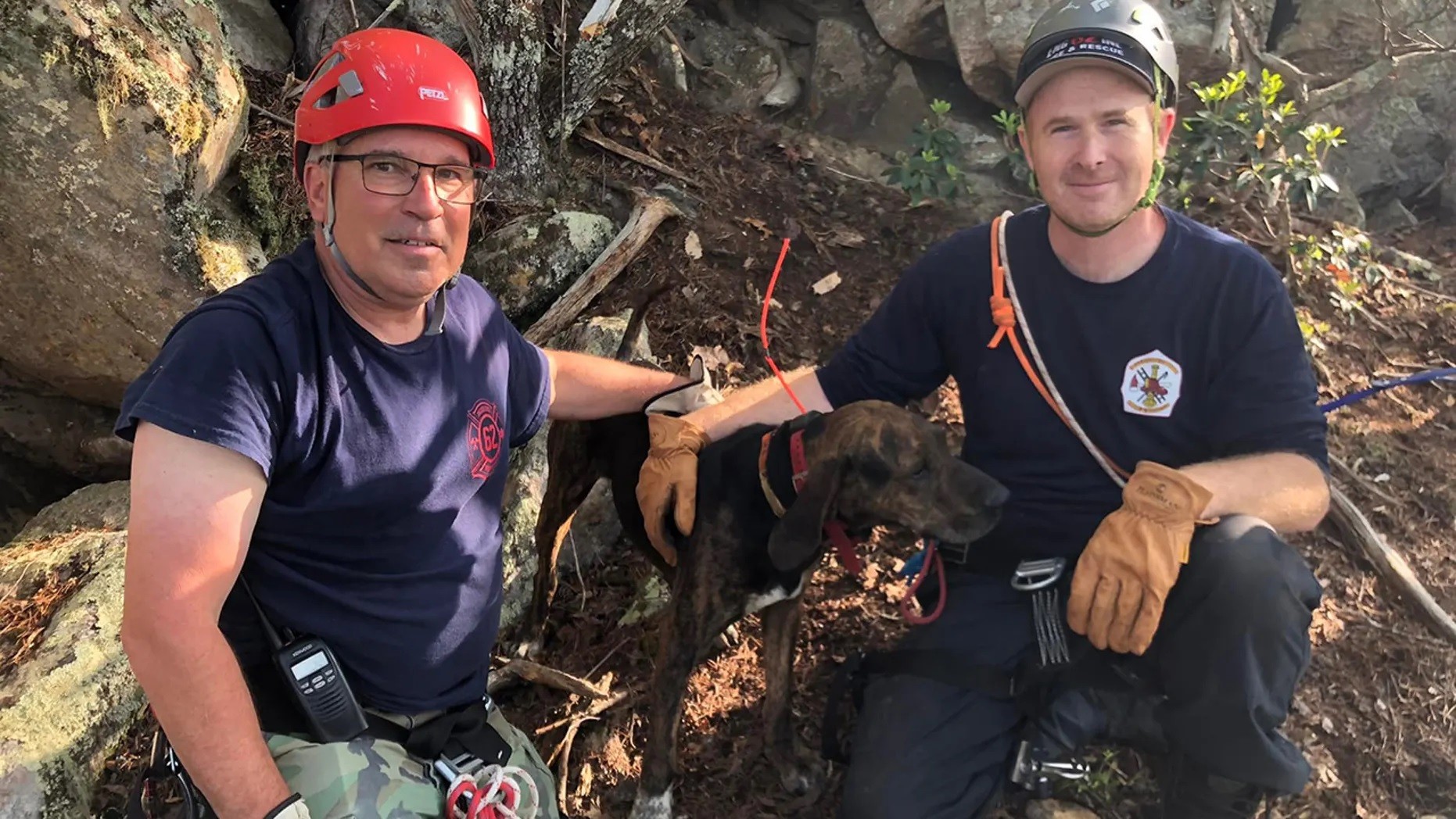 Bombeiros resgatam cachorro em caverna após queda de 10 metros nos EUA