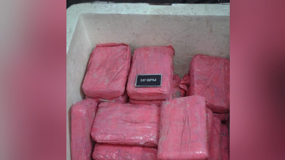 Drogas foram encontradas em um isopor â€” Foto: PolÃ­cia Militar/DivulgaÃ§Ã£o