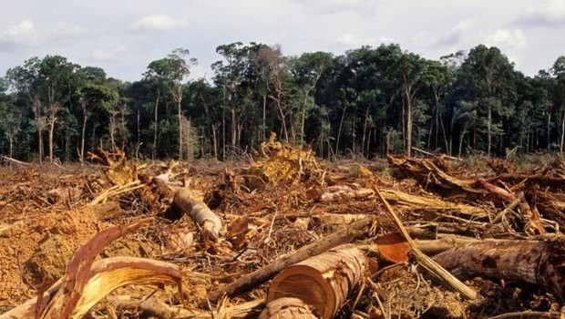 Cerca de 20% da floresta amazônica já foi destruída, segundo especialistas (Foto: LUOMAN / GETTY IMAGES VIA BBC)
