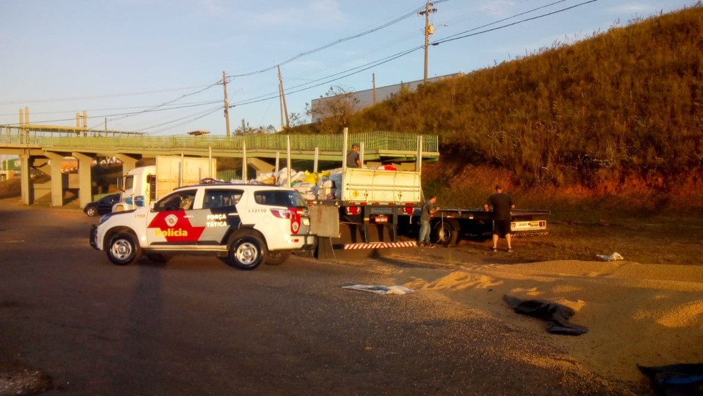 Droga estava no meio da carga de soja na carroceria do caminhão abordado em Botucatu (Foto: Polícia Militar / Divulgação )