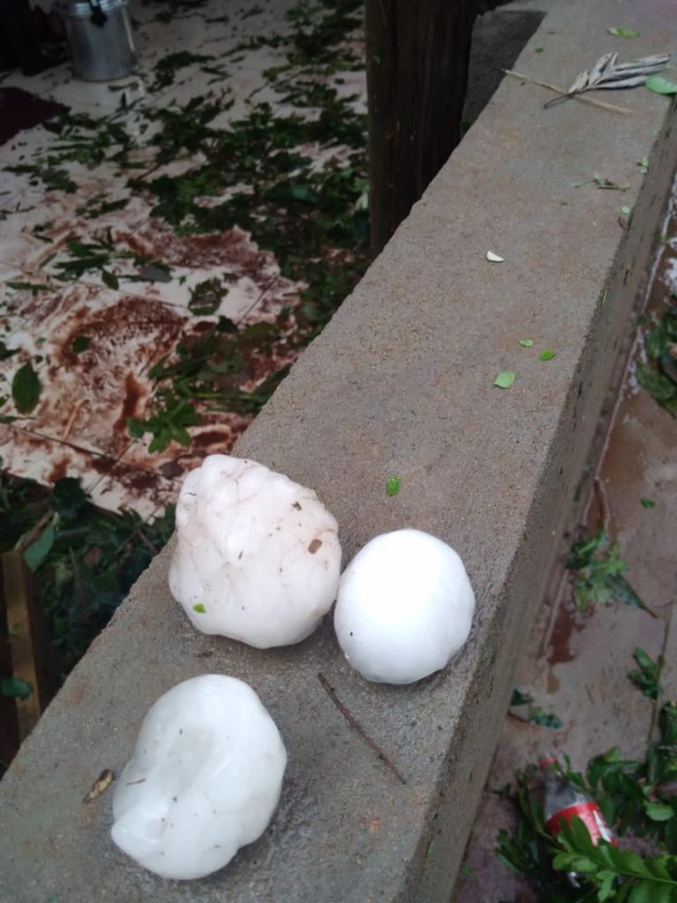Grande pedras de granizo caíram em Iguatemi (MS) — Foto: Redes sociais/Reprodução