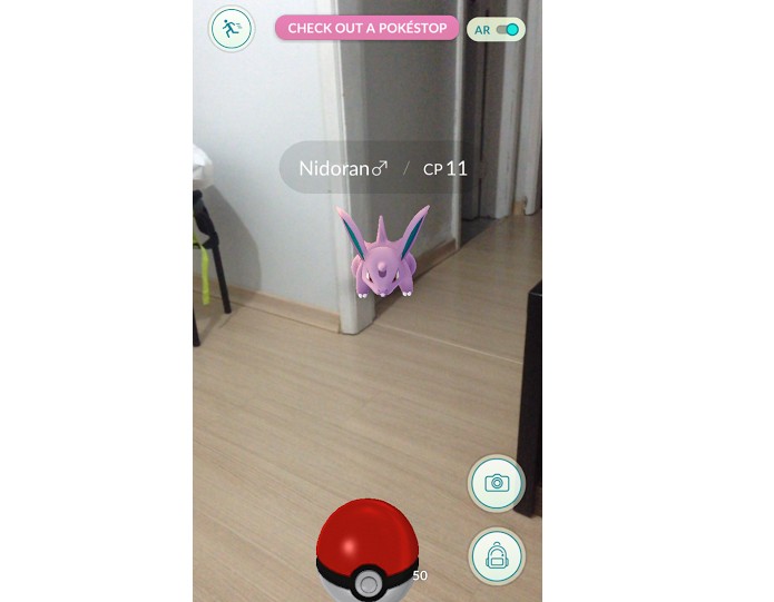 Capturar um Pokémon pode ser fácil, mas depende do nível dele (Foto: Reprodução/Thiago Barros)