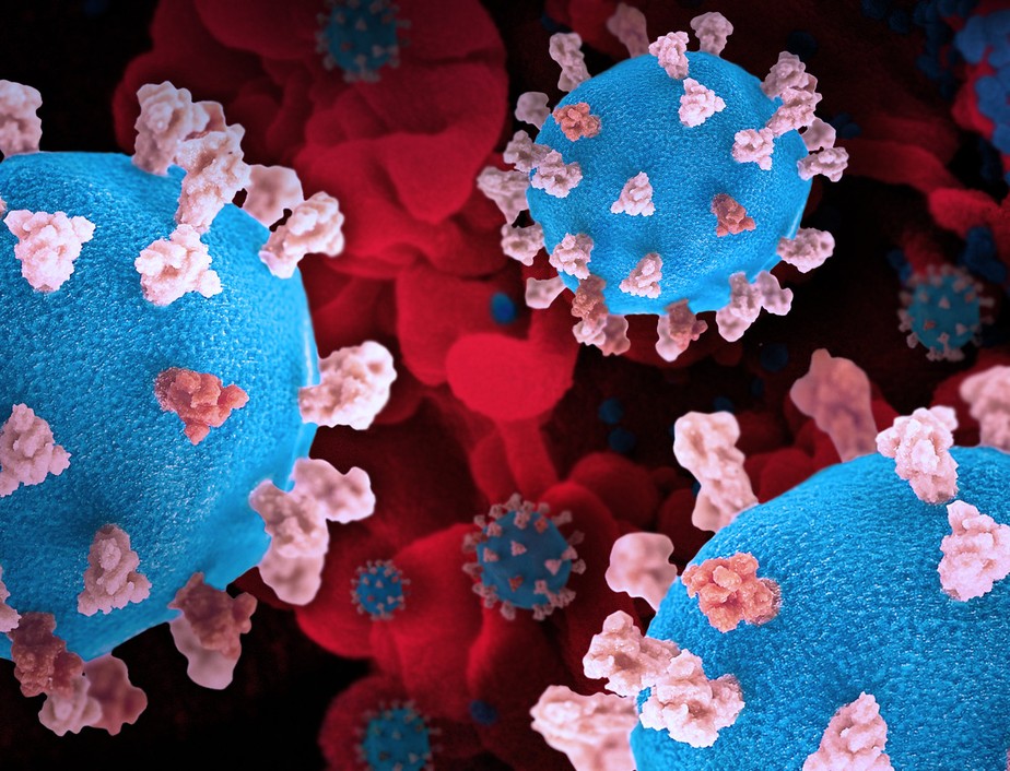 Versão criativa do SARS-CoV-2, exibindo impressões 3D de partículas de vírus (coloridas em azul e rosa) e uma imagem de fundo que é um micrografia eletrônica de varredura colorida de uma célula (vermelho) infectada com a cepa Omicron do vírus (azul)