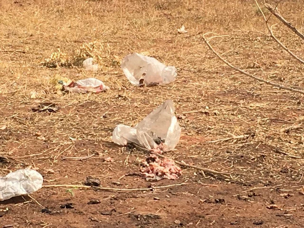 Descarte irregular de lixo é considerado crime ambiental (Foto: Prefeitura Municipal de Três Lagoas/Divulgação)