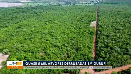 Desmatamento por causa de linha de transmissão de energia vai parar nas justiça em Gurupi