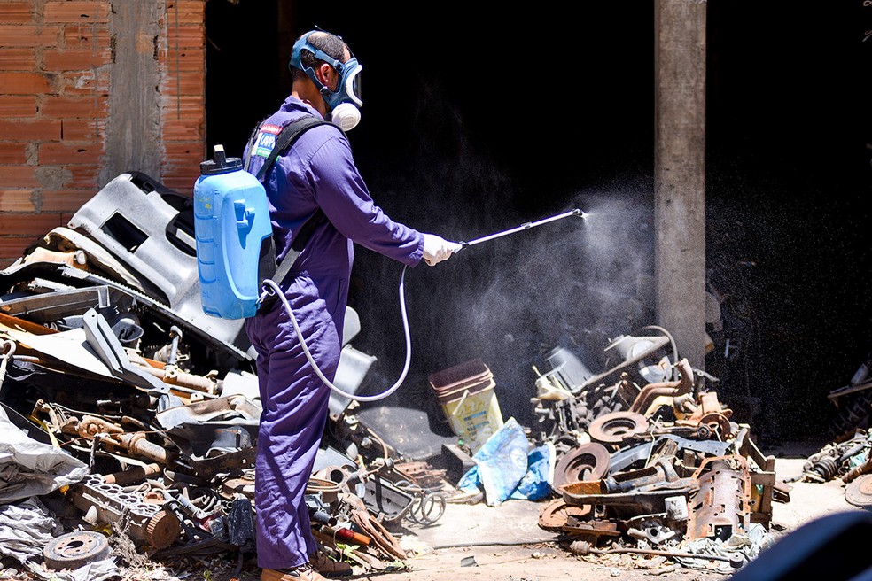 Campos, RJ, vivencia uma epidemia de dengue e Prefeitura vem reforçando as ações de combate ao Aedes aegypti — Foto: César Ferreira/Divulgação