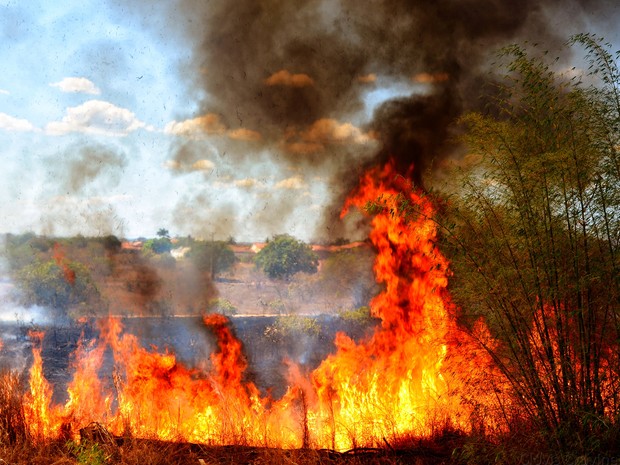 G1 - Cidade do Piauí registra o maior número de incêndios do Brasil -  notícias em Piauí