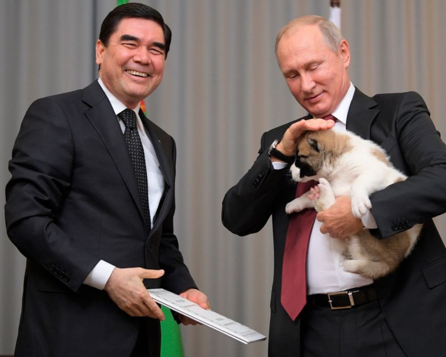 Putin é apaixonado por cães  (Foto: Twitter / @FazleAzim2 / Reprodução)