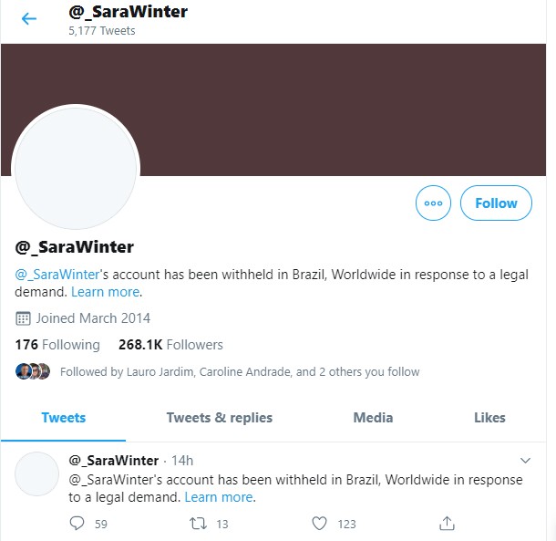 Perfil de Sara Winter no Twitter é desativado (Foto: Reprodução / Twitter)