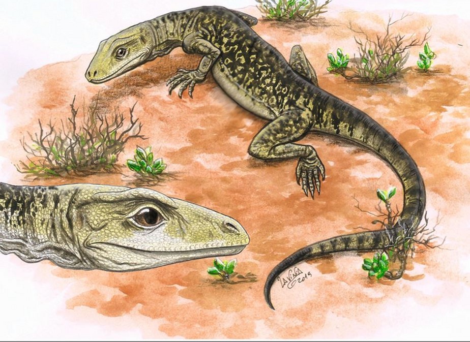 Ilustração do lagarto Cryptovaranoides microlanius, que viveu no final do Triássico