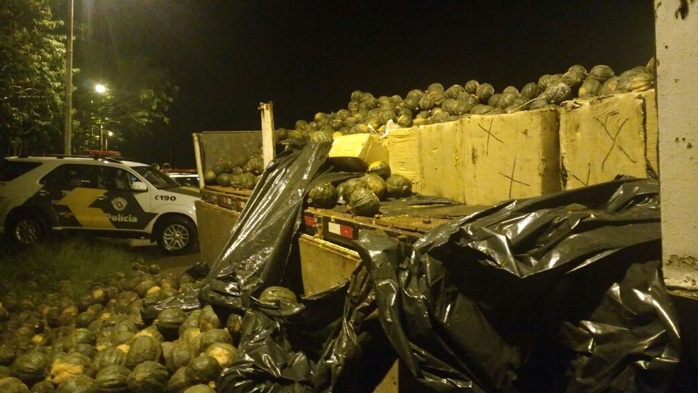 Polícia encontra 1,3 tonelada de maconha escondida em caminhão de abóboras em Ourinhos (Foto: Polícia Rodoviária/Divulgação)