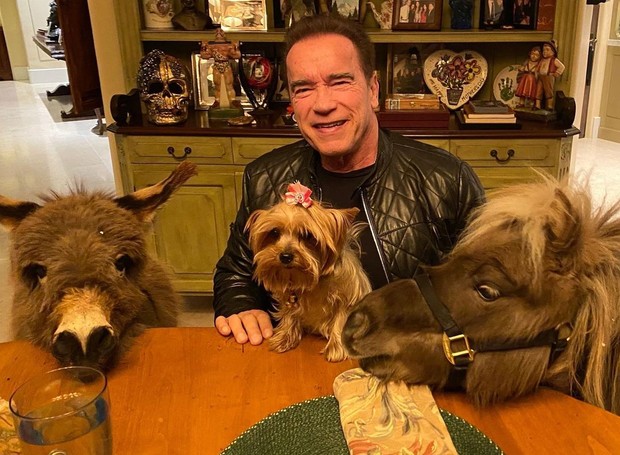 Arnold Schwarzenegger e seus três pets: uma lhama, um cachorro e um pônei (Foto: Reprodução / Instagram)