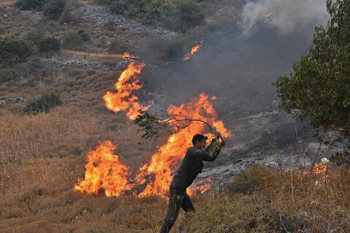 Syria executes 24 convicts for causing forest fires | World