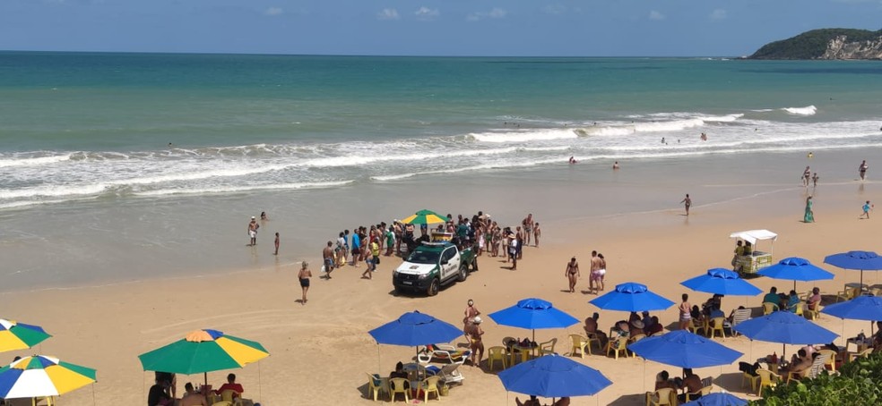 Tartaruga-verde foi encontrada por banhistas encalhada na Praia de Ponta Negra, em Natal &mdash; Foto: Redes sociais