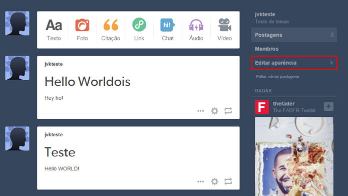 Aparência do blog pode ser editada a partir do menu da plataforma (Foto: Reprodução/Tumblr)