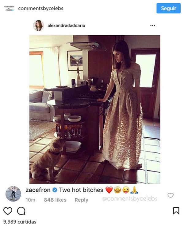 Polêmico comentário de Zac Efron na imagem de Alexandra Daddario (Foto: Reprodução/Instagram)