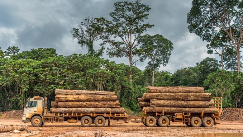 madeira-amazonia-desmatamento (Foto: Vicente Sampaio/Imaflora)
