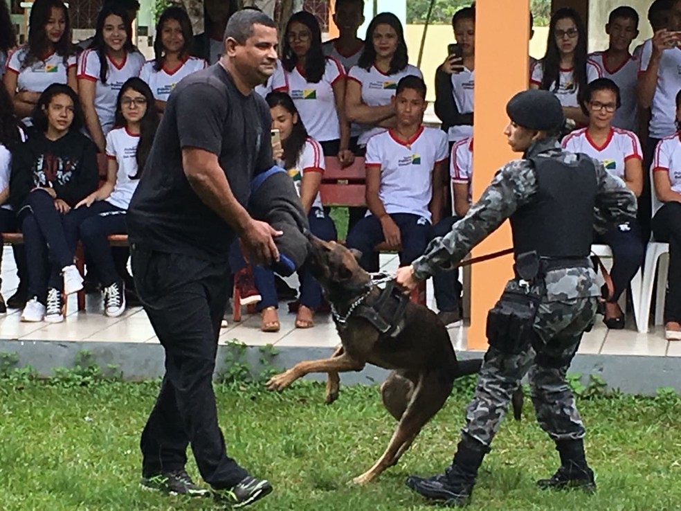 Cães são usados paraajudar em ações da polícia em Cruzeiro do Sul (Foto: Glédissom Albano/Rede Amazônica Acre)
