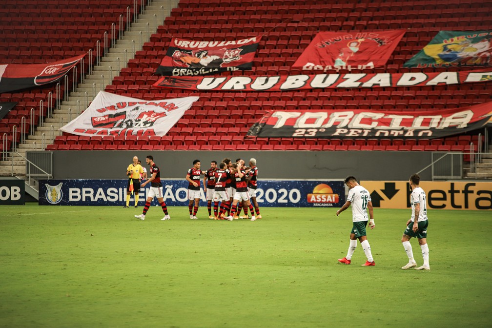 Jogadores do Flamengo comemoram gol contra o Palmeiras — Foto: Ricardo Ribeiro/BSB Sports